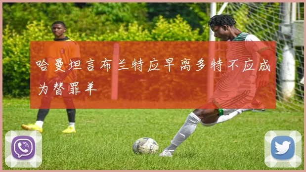 哈曼坦言布兰特应早离多特不应成为替罪羊