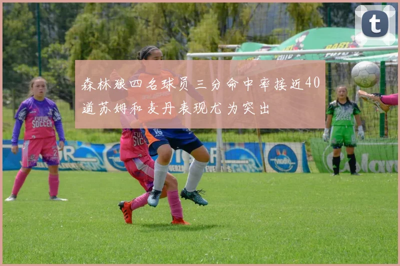 森林狼四名球员三分命中率接近40道苏姆和麦丹表现尤为突出